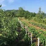 Ristorante 'l Bunet 3* Cortemilia