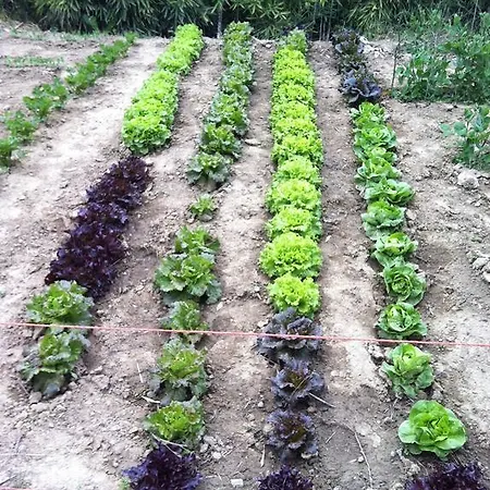 Ristorante 'l Bunet فندق 3*