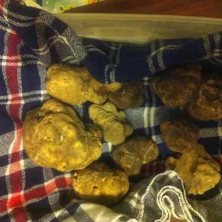 Ristorante 'l Bunet Cortemilia