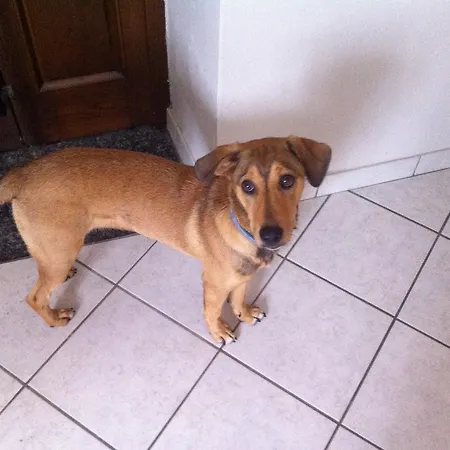 Ristorante 'l Bunet 3* Cortemilia