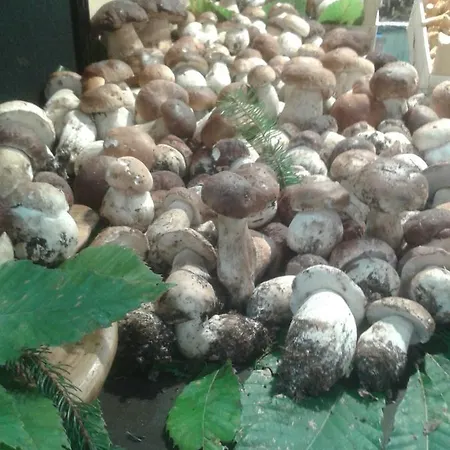 فندق Ristorante 'l Bunet Cortemilia